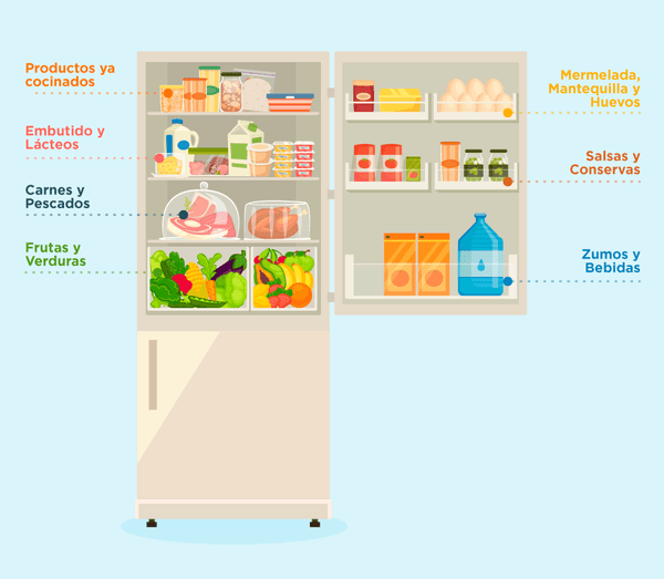 ¿Sabes cómo ordenar tus alimentos en el refrigerador? - Come Verde